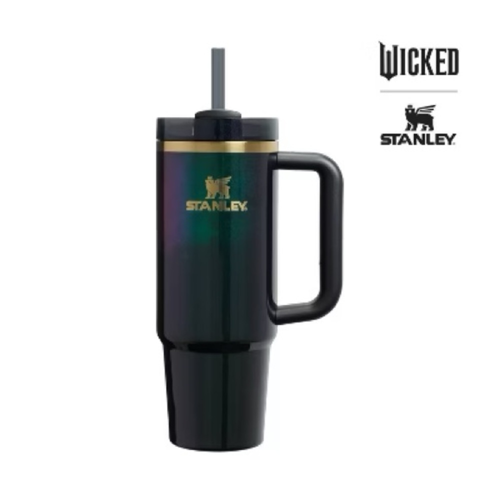 NWT Stanley 30 oz Stainless Steel Tumbler Elphaba For Good